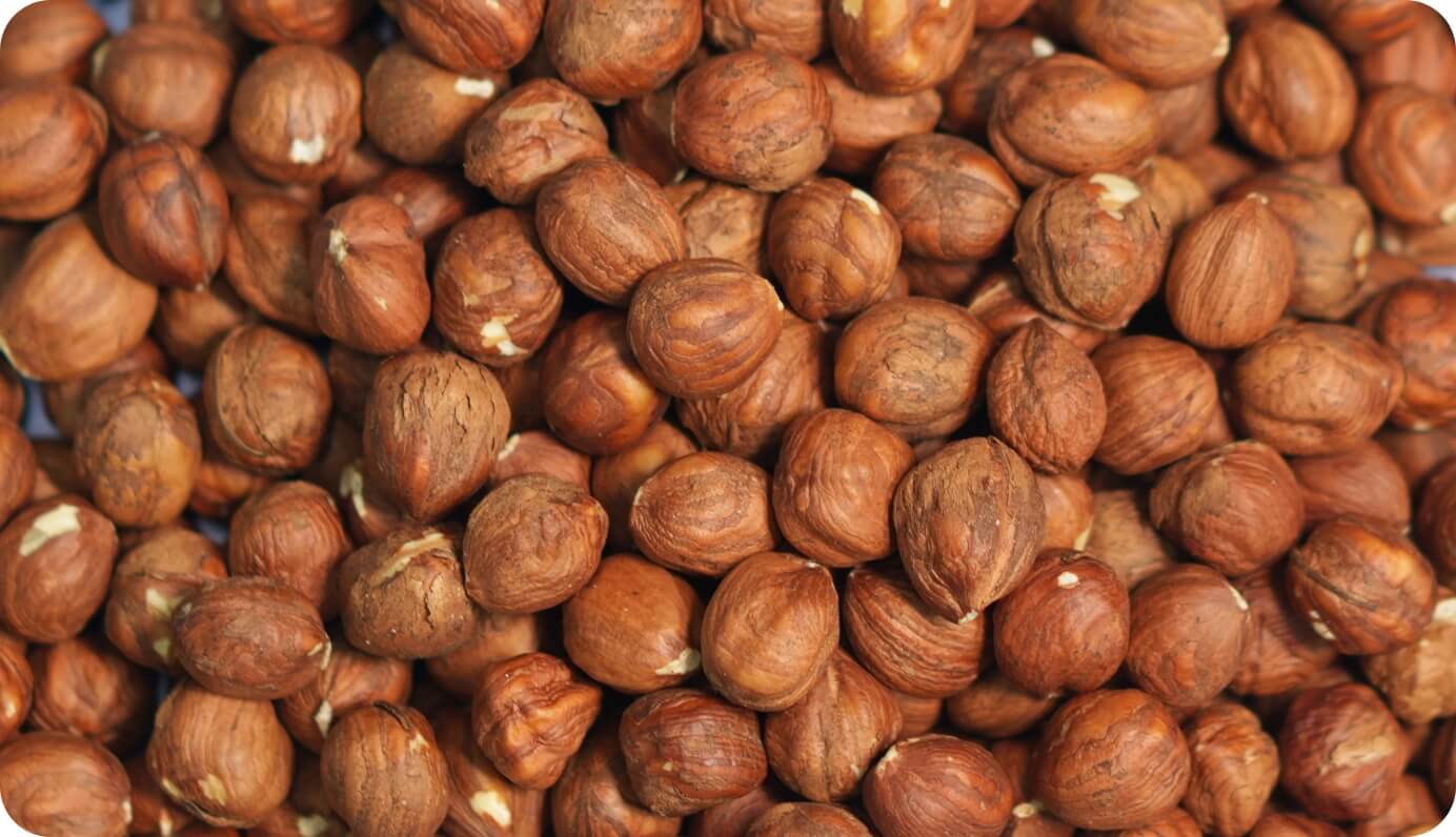 Wholesale Hazelnut Products Bulk Raw & Roasted Hazelnuts